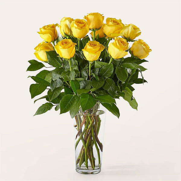 1 Dozen Roses Arranged – Jen-mor Florist Inc, Dover DE