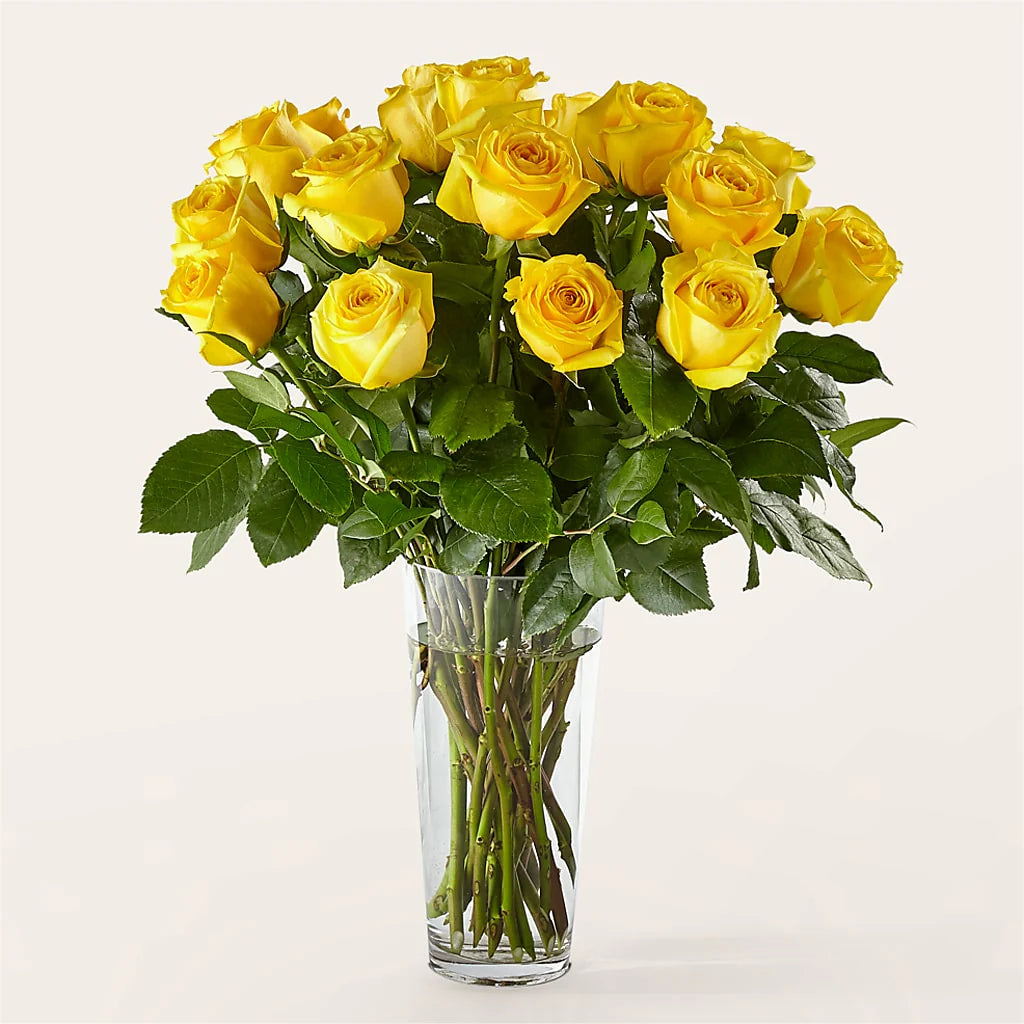18 Roses Arranged – Jen-mor Florist Inc, Dover DE
