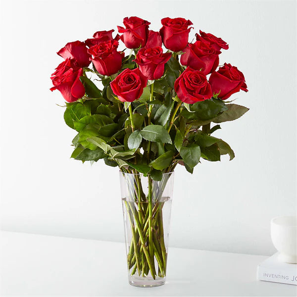 18 Roses Arranged – Jen-mor Florist Inc, Dover DE