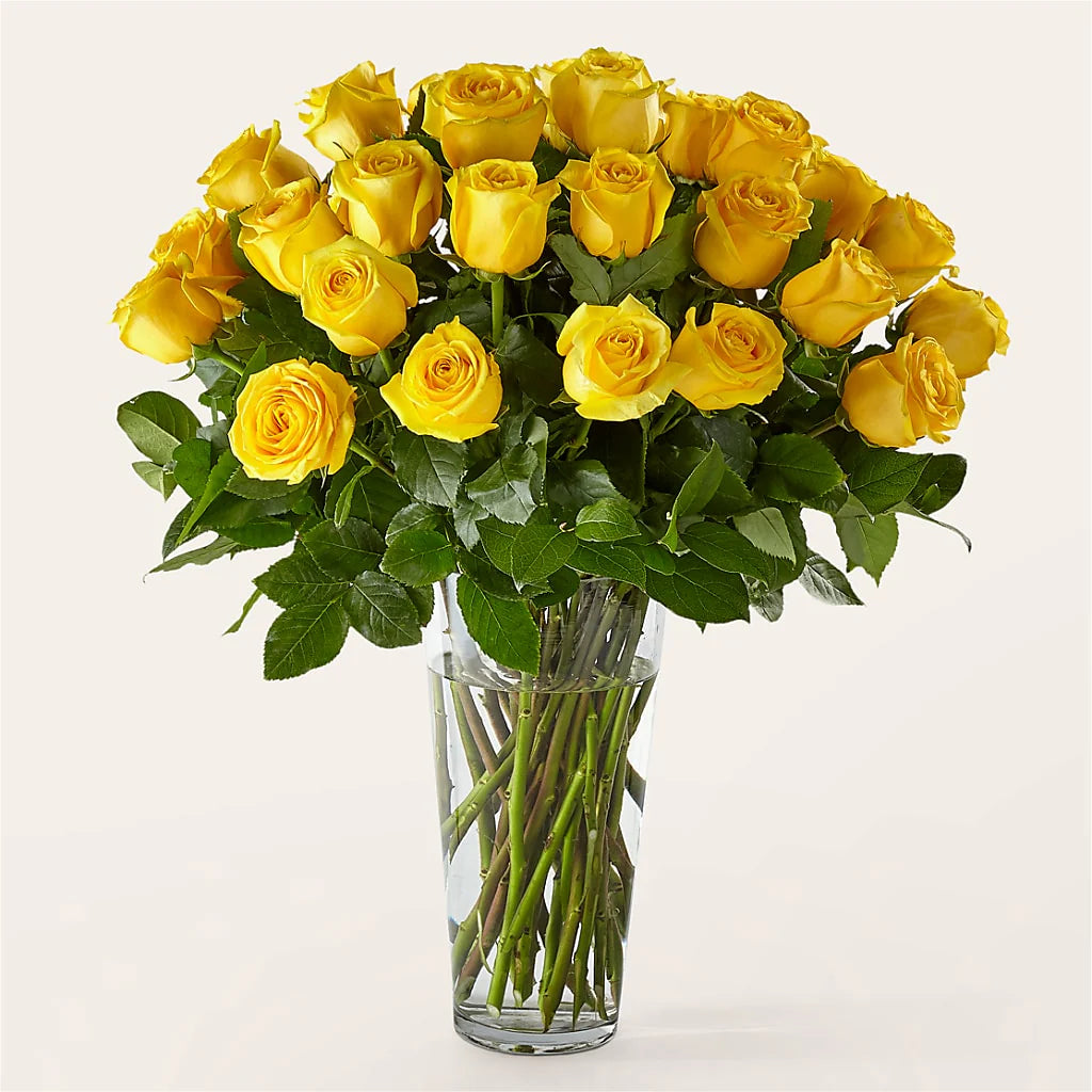 3 Dozen Roses Arranged – Jen-mor Florist Inc, Dover DE