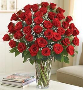 3 Dozen Roses Arranged – Jen-mor Florist Inc, Dover DE