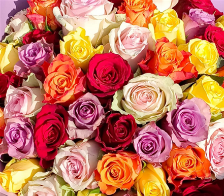 Three roses - coordinating colors