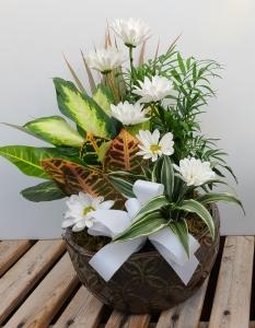 85DG – Jen-mor Florist Inc, Dover DE