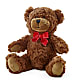 Adorable Plush Teddy Bear