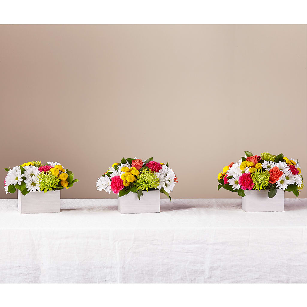 Sorbet Bouquet – Jen-mor Florist Inc, Dover DE