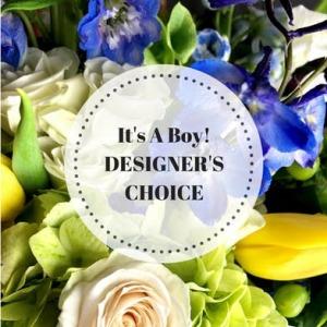 DESIGNERS CHOICE BABY BOY – Jen-mor Florist Inc, Dover DE