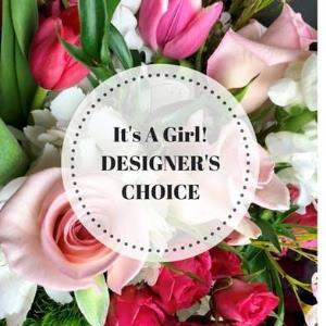 DESIGNERS CHOICE BABY GIRL – Jen-mor Florist Inc, Dover DE