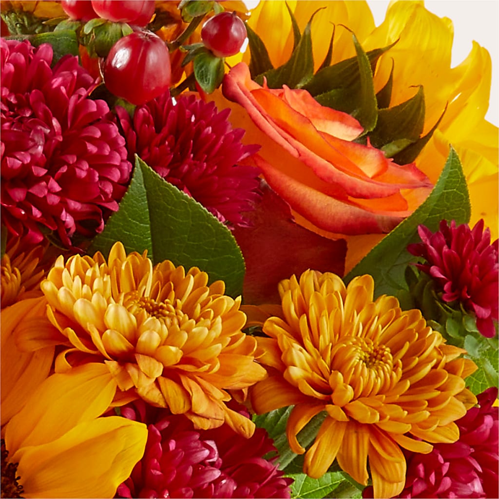 Sweater Season - A Florist Original – Jen-mor Florist Inc, Dover DE