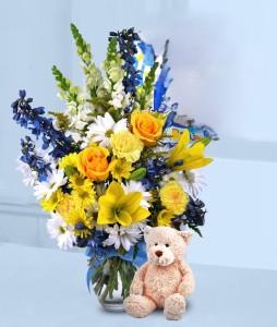 WELCOME BABY BOY – Jen-mor Florist Inc, Dover DE