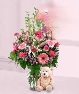 WELCOME BABY GIRL – Jen-mor Florist Inc, Dover DE