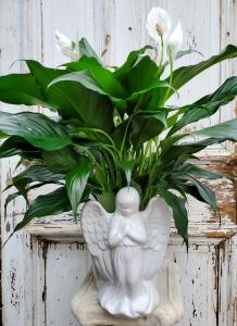 HEAVENLY SENTIMENTS – Jen-mor Florist Inc, Dover DE