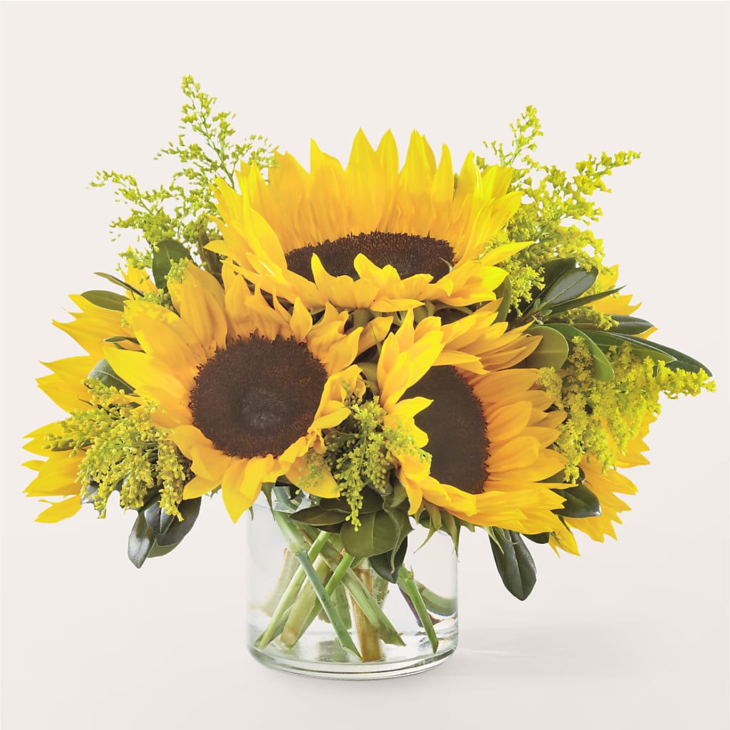 Beaming Sunflower Bouquet – Jen-mor Florist Inc, Dover DE