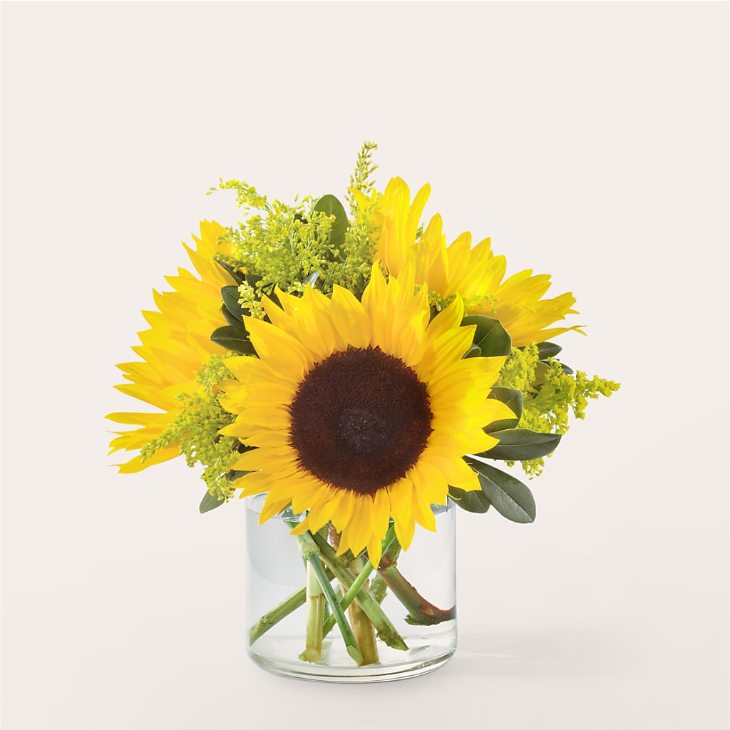Beaming Sunflower Bouquet – Jen-mor Florist Inc, Dover DE