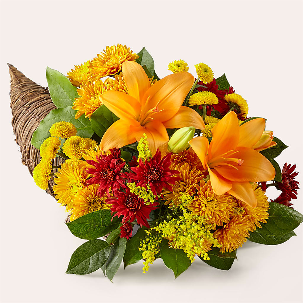Feast of Color Cornucopia – Jen-mor Florist Inc, Dover DE