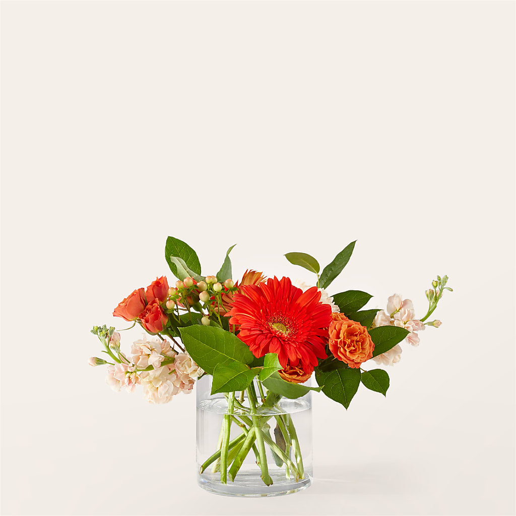 Paloma Please Bouquet – Jen-mor Florist Inc, Dover DE