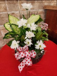 VALENTINE DISH GARDEN