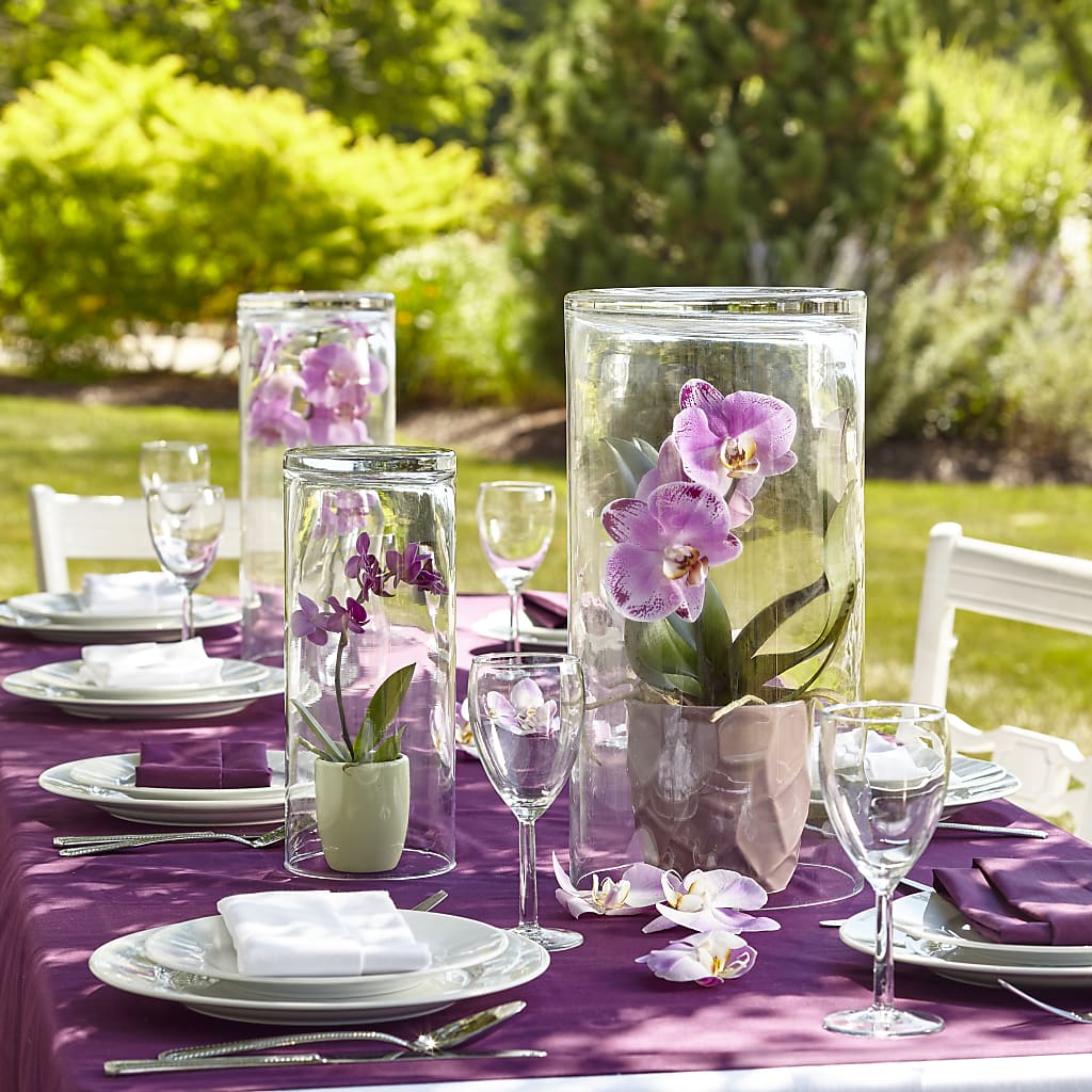 Dramatic Garden Centerpiece – Jen-mor Florist Inc, Dover DE