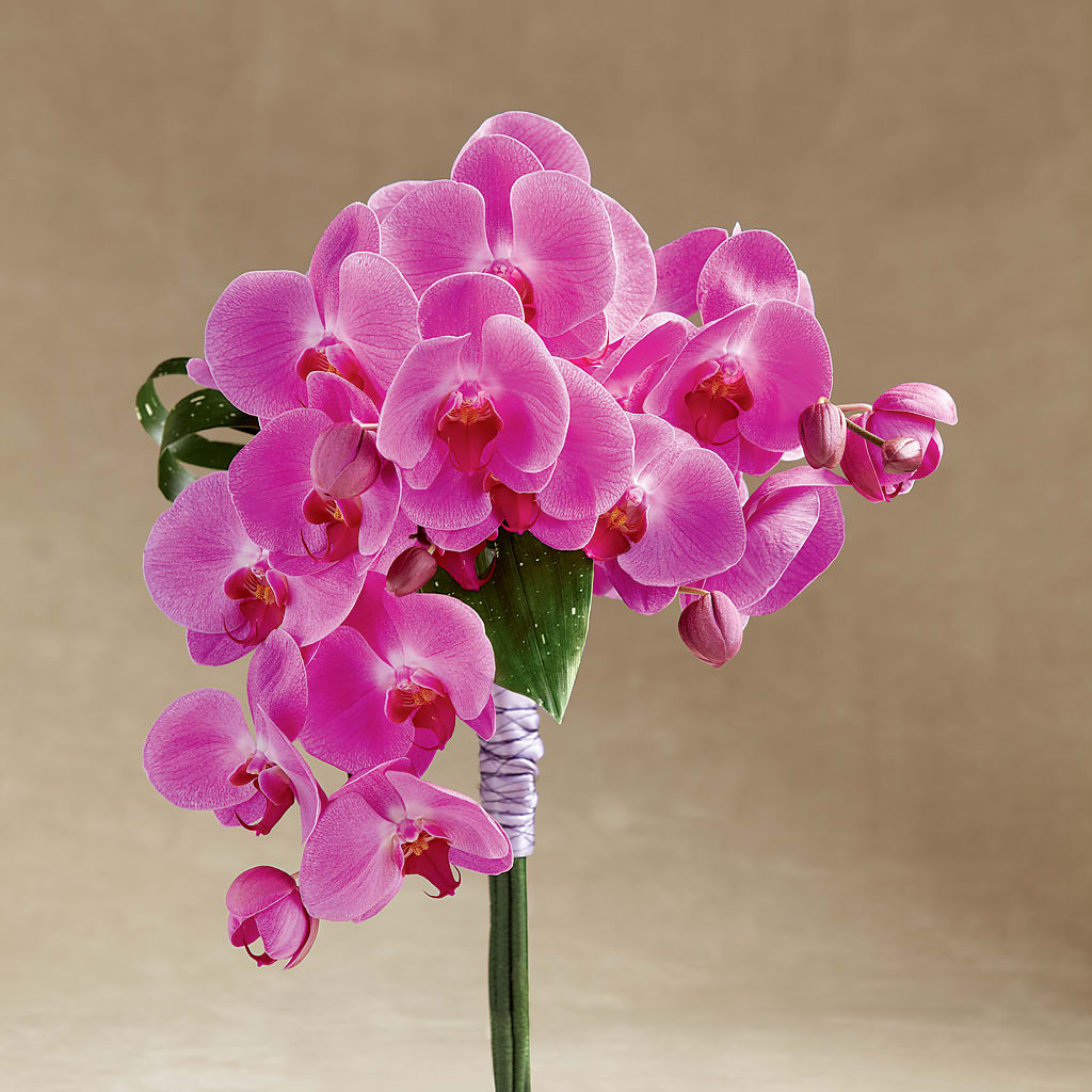Glorious Bouquet – Jen-mor Florist Inc, Dover DE