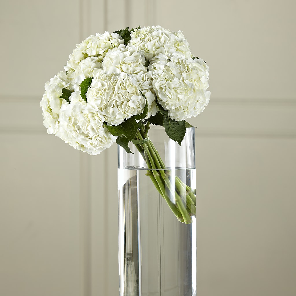White Hydrangea Hand-Tied Bouquet – Jen-mor Florist Inc, Dover DE