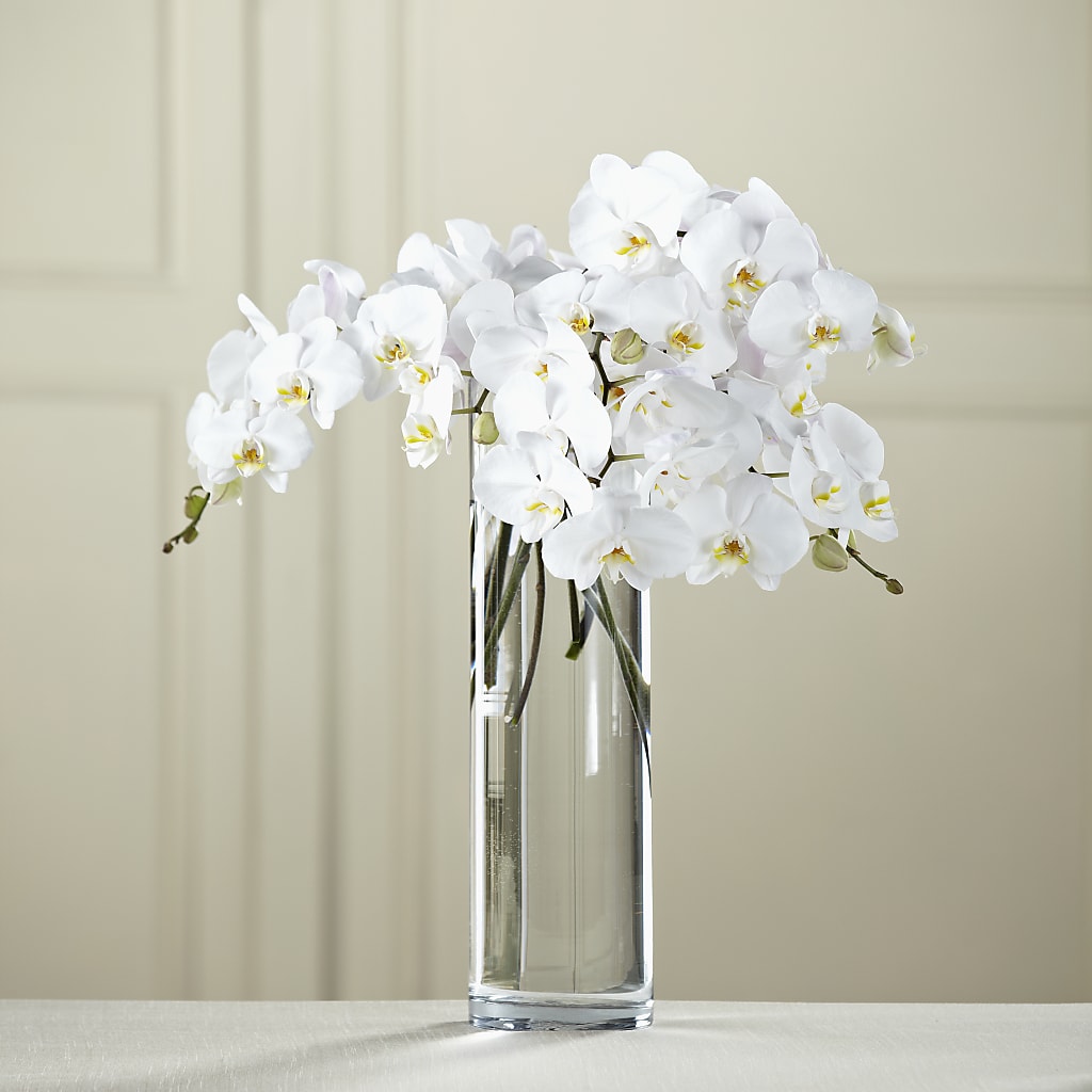 White Phalaenopsis Bouquet – Jen-mor Florist Inc, Dover DE
