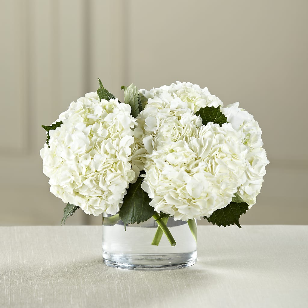 White Hydrangea Bouquet – Jen-mor Florist Inc, Dover DE