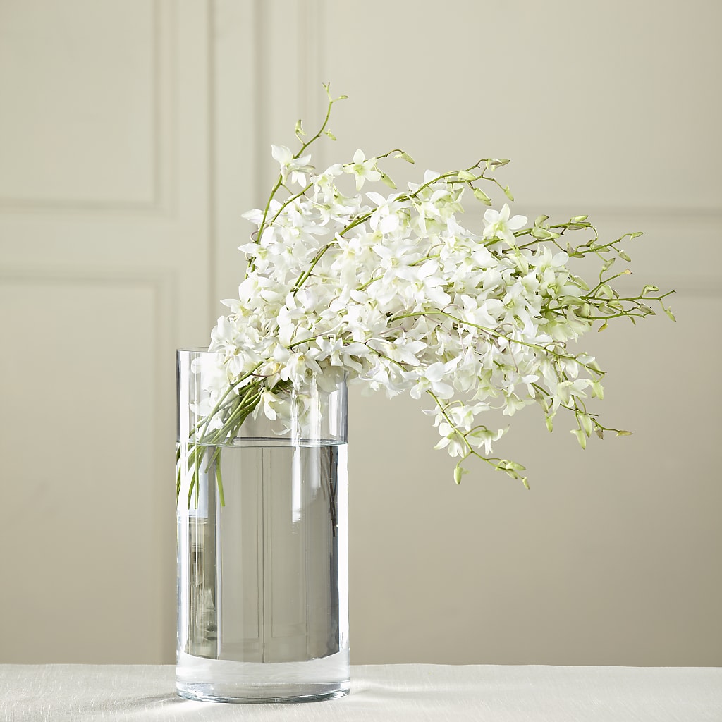 White Dendrobium Bouquet – Jen-mor Florist Inc, Dover DE