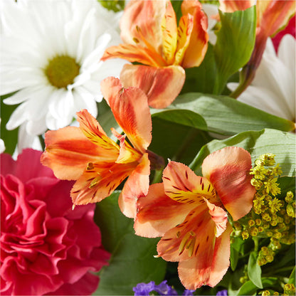 Oopsie Daisy Box Bouquet –  Jen-mor Florist Inc, Dover DE