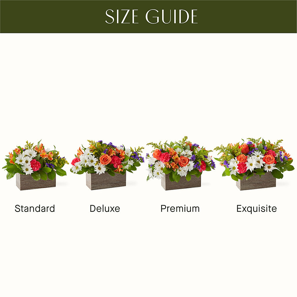 Oopsie Daisy Box Bouquet –  Jen-mor Florist Inc, Dover DE