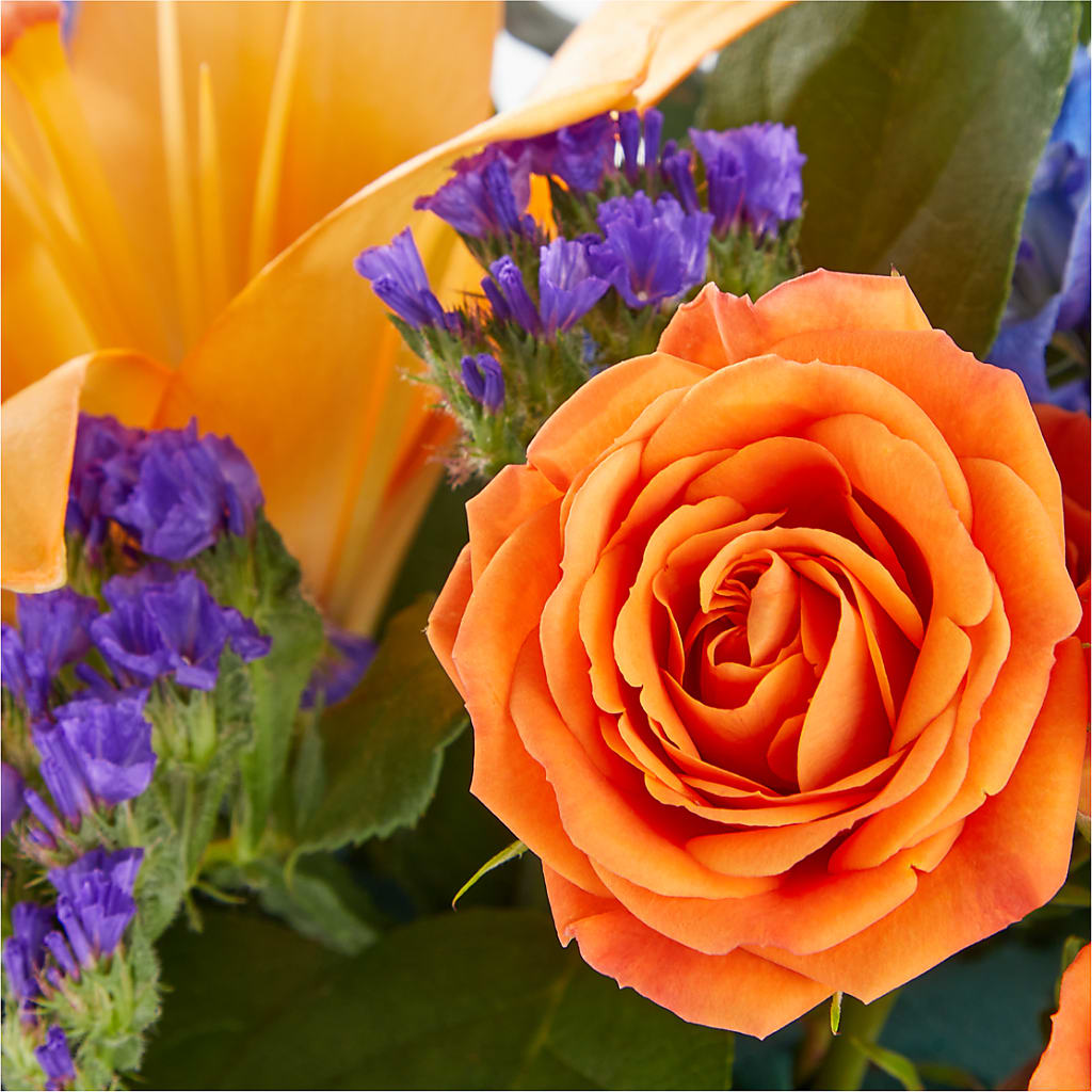Radiant Citrus Box Bouquet –  Jen-mor Florist Inc, Dover DE
