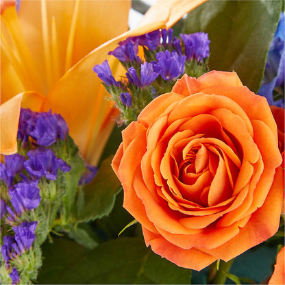 Radiant Citrus Box Bouquet –  Jen-mor Florist Inc, Dover DE
