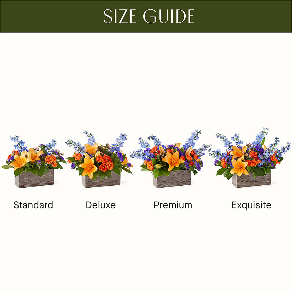 Radiant Citrus Box Bouquet –  Jen-mor Florist Inc, Dover DE