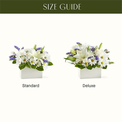 Beyond Blue Box Bouquet –  Jen-mor Florist Inc, Dover DE