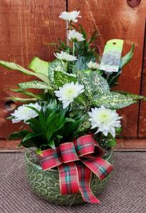 CHRISTMAS DISH GARDEN