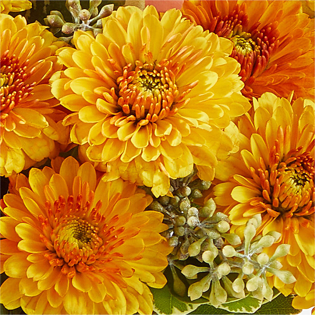 Peachy Pumpkin –  Jen-mor Florist Inc, Dover DE