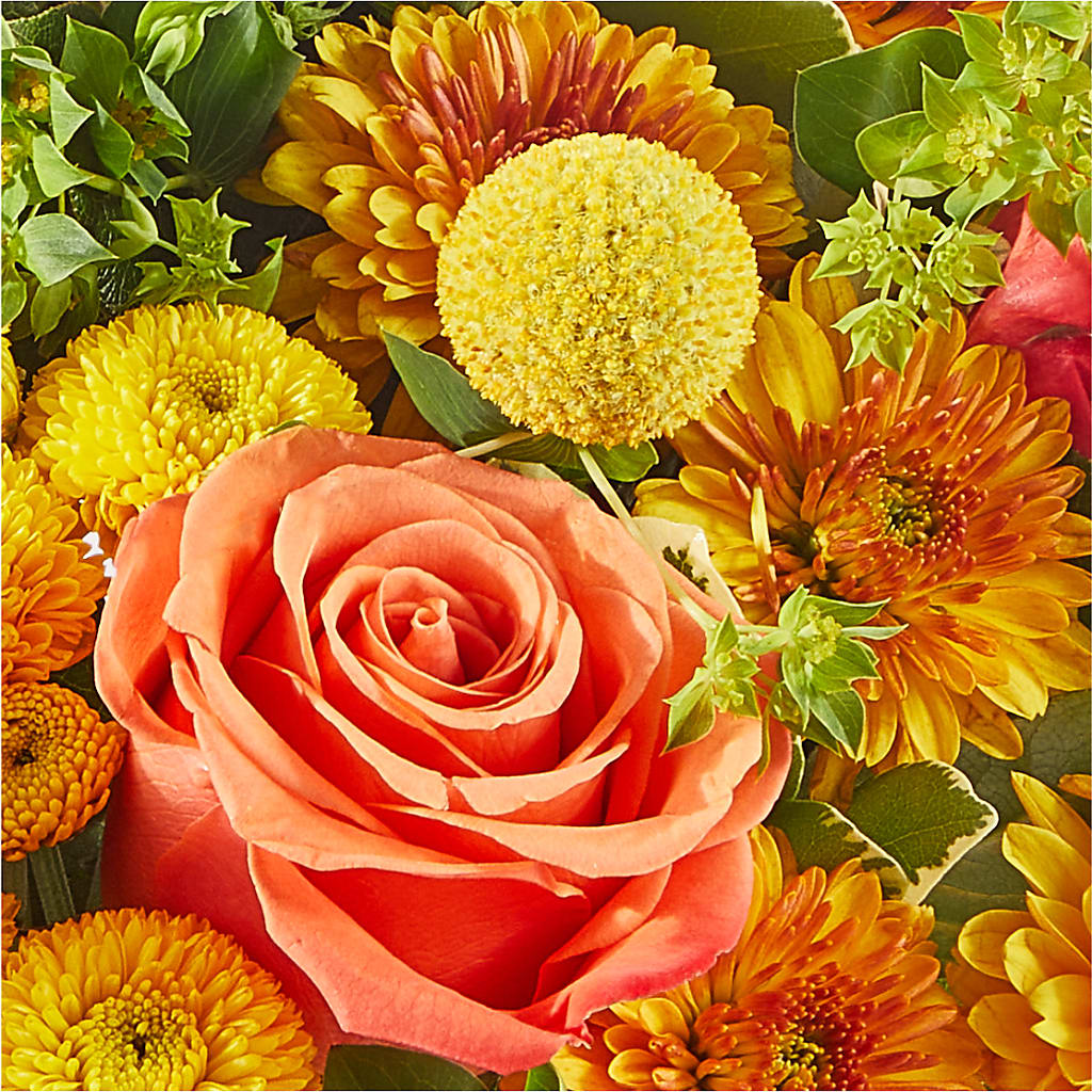 Gourdgeous Pumpkin –  Jen-mor Florist Inc, Dover DE