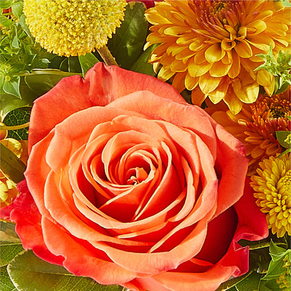 Gourdgeous Pumpkin –  Jen-mor Florist Inc, Dover DE