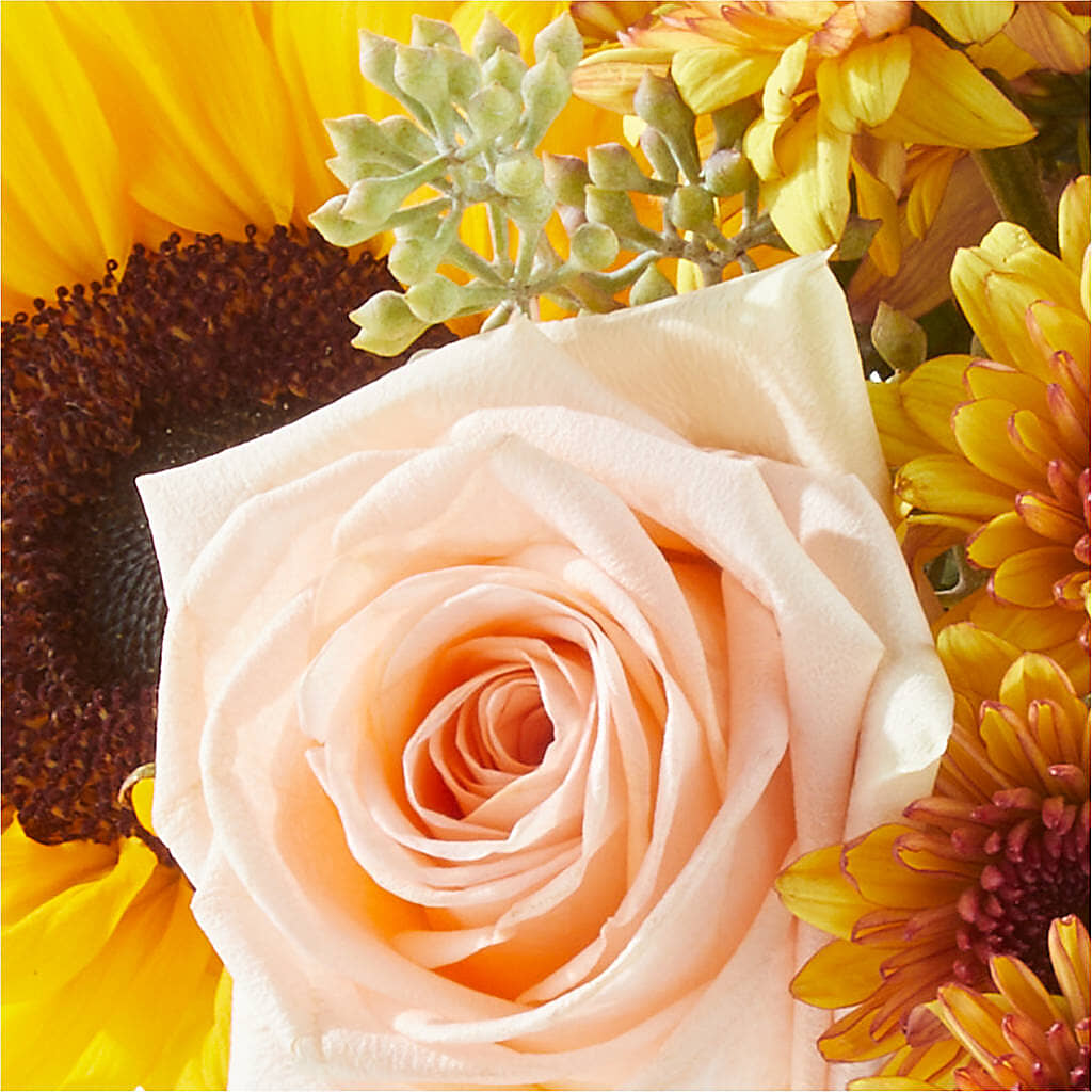 Pumpkin to Talk About Bouquet –  Jen-mor Florist Inc, Dover DE