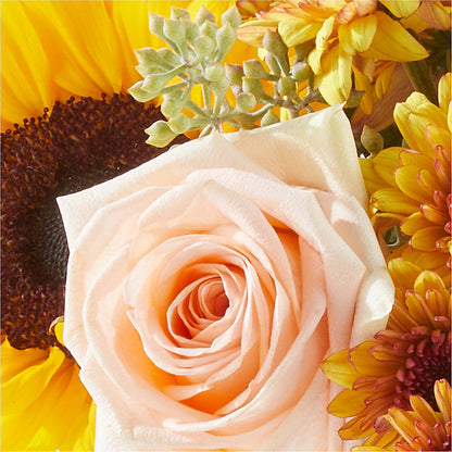 Pumpkin to Talk About Bouquet –  Jen-mor Florist Inc, Dover DE