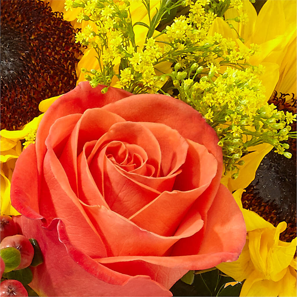 Pick of the Patch Pumpkin Bouquet –  Jen-mor Florist Inc, Dover DE
