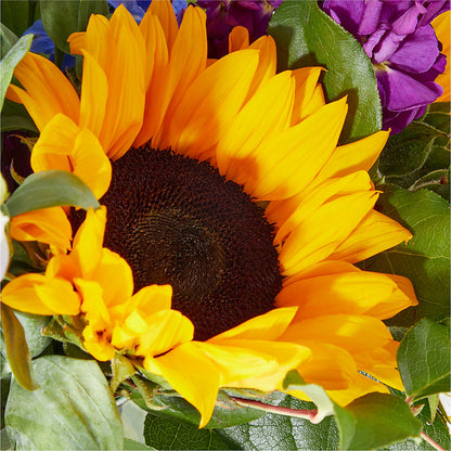Catching Rays Bouquet –  Jen-mor Florist Inc, Dover DE