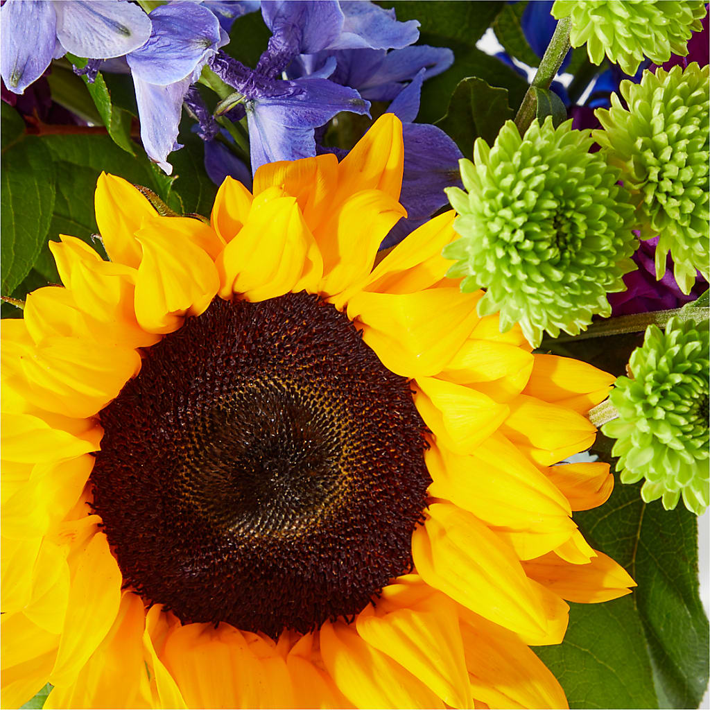 Catching Rays Bouquet –  Jen-mor Florist Inc, Dover DE