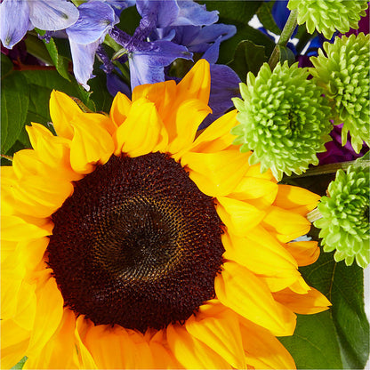 Catching Rays Bouquet –  Jen-mor Florist Inc, Dover DE