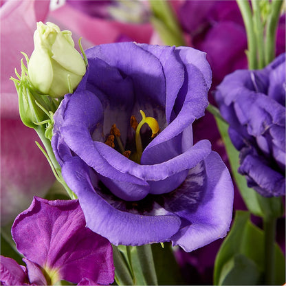 Twilight Glow Bouquet –  Jen-mor Florist Inc, Dover DE