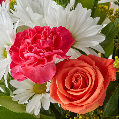 Oopsie Daisy Bouquet –  Jen-mor Florist Inc, Dover DE