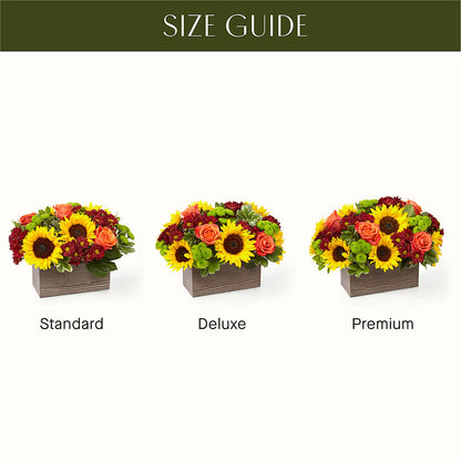Happy Harvest Garden –  Jen-mor Florist Inc, Dover DE