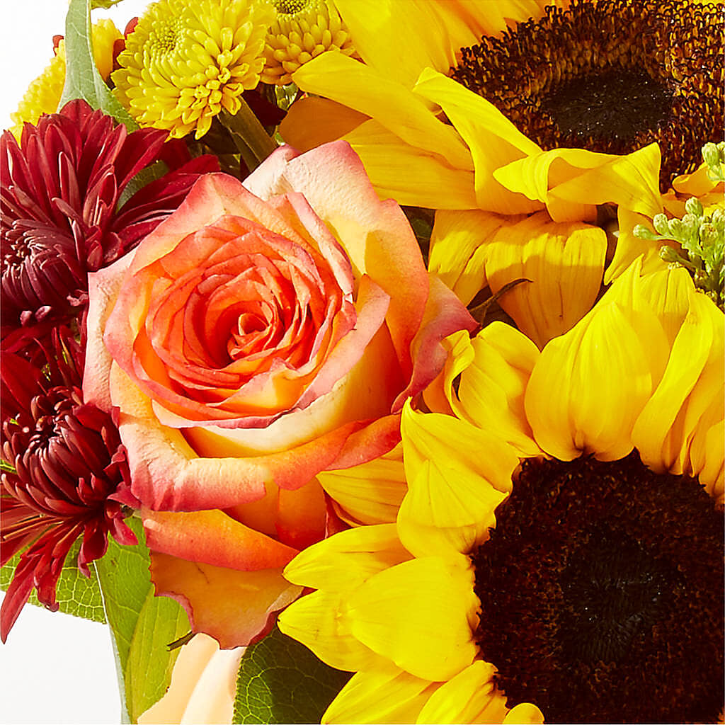 Golden Gourd Pumpkin Bouquet –  Jen-mor Florist Inc, Dover DE