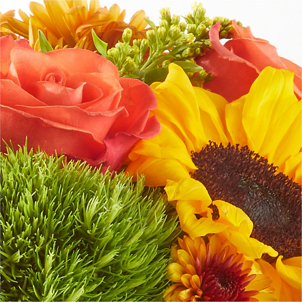 Farmer’s Market Stroll Bouquet –  Jen-mor Florist Inc, Dover DE