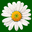 logo of Dover Florist with Same-Day Delivery |  Jen-mor Florist Inc–Jen-Mor Florist Inc