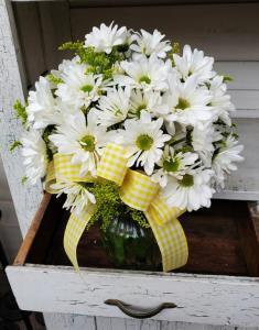 CRAZY FOR DASIES –  Jen-mor Florist Inc, Dover DE