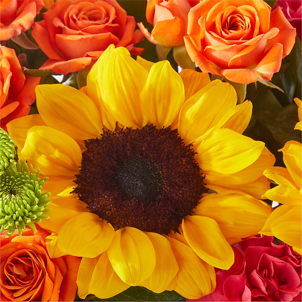 Sun-drenched Blooms Box Bouquet –  Jen-mor Florist Inc, Dover DE